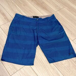Oakley Blue Striped Casual Men’s Shorts Size 38W